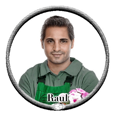 Raul - The handsome and quiet lead gardener from Landscape Dreams, Thornwillow Heights landscaping vendor, that most of the women presume is taking care of much more than the shrubbery.